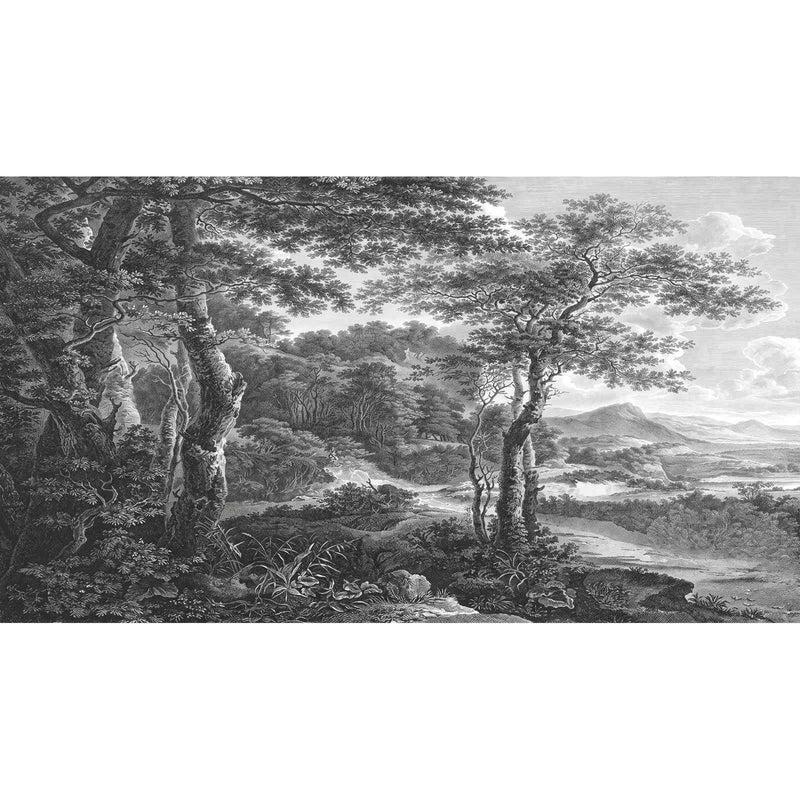 Papier Peint Arbre Noir Et Blanc — autocollant