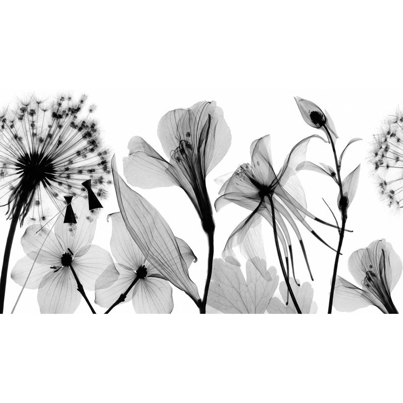 Papier Peint Noir Et Blanc Salon — autocollant