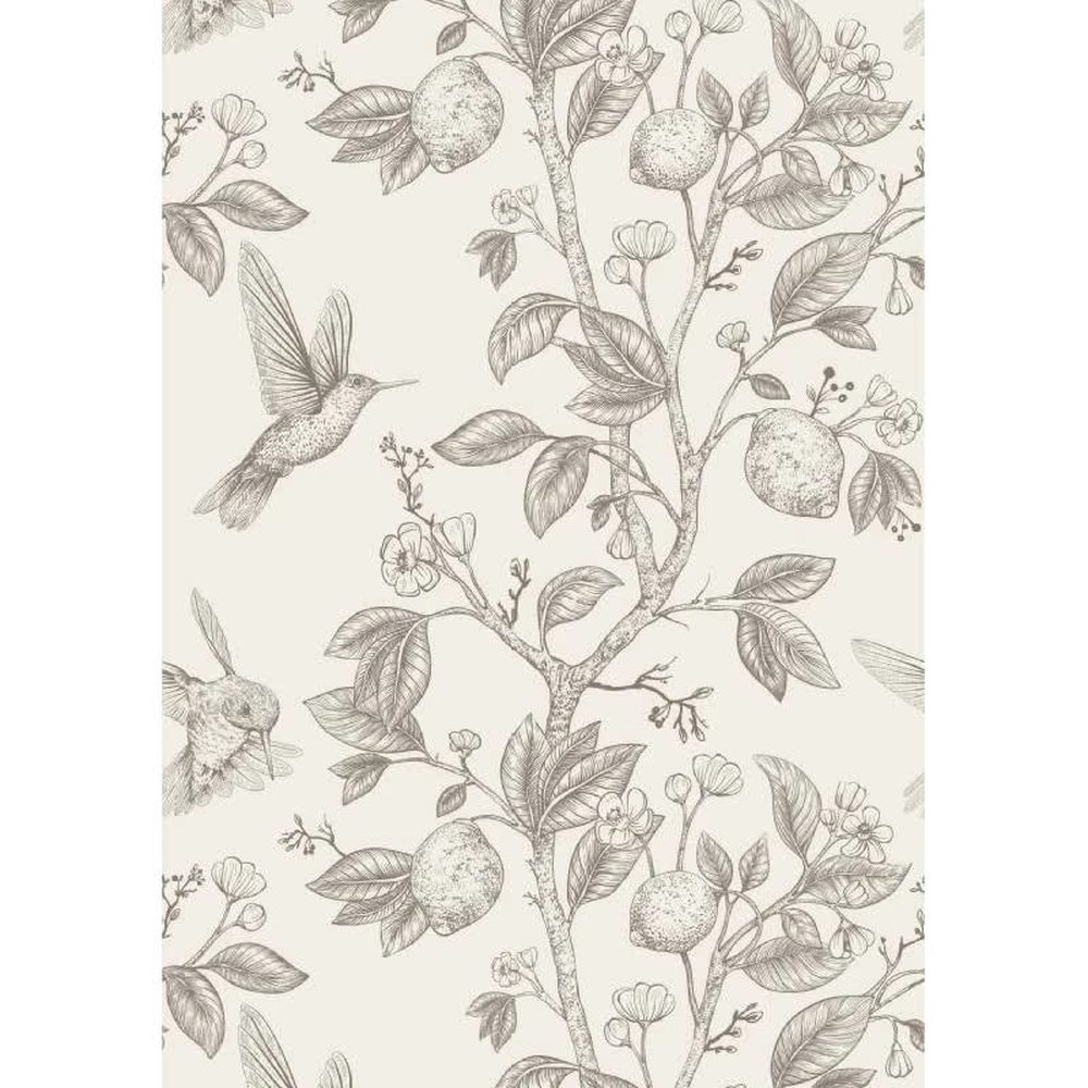 Papier peint tapisserie colibris et arbre fruitier vintage noir et blanc - motif