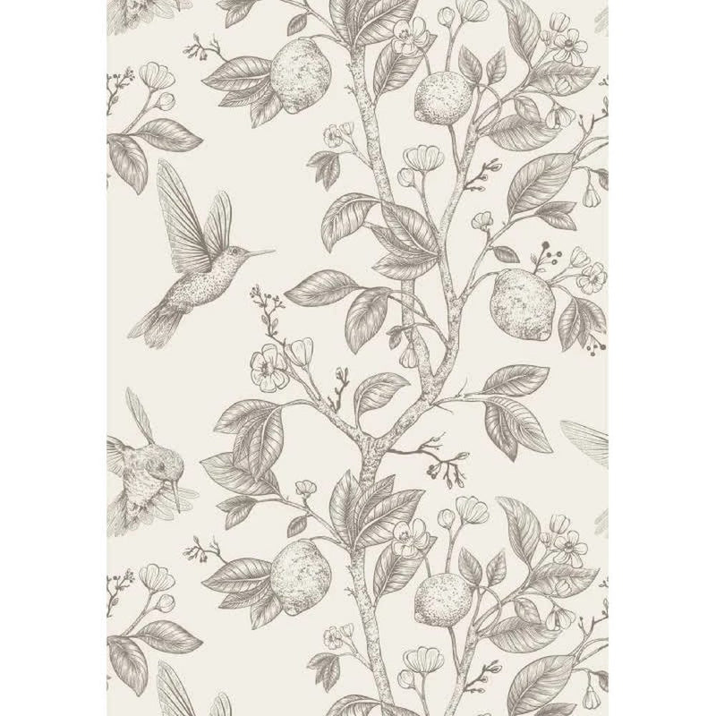 Papier peint tapisserie colibris et arbre fruitier vintage noir et blanc — autocollant