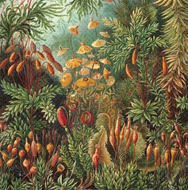 Papier peint floral jungle — intissé mat premium