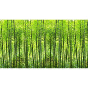 papier-peint-foret-bambou-motif