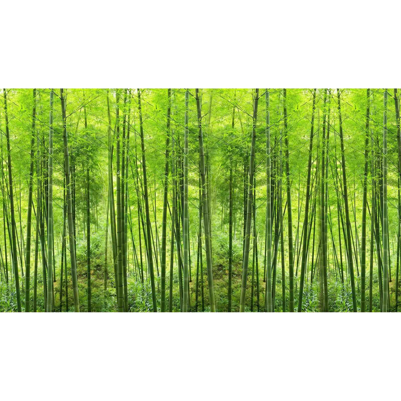 Papier Peint Foret Bambou — autocollant