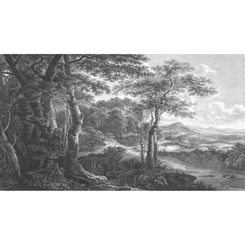 Papier Peint Foret Noir Et Blanc — autocollant