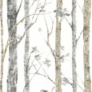 Papier Peint Foret Scandinave - Papierpeint - panoramique.fr