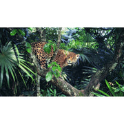 papier-peint-jungle-leopard-motif