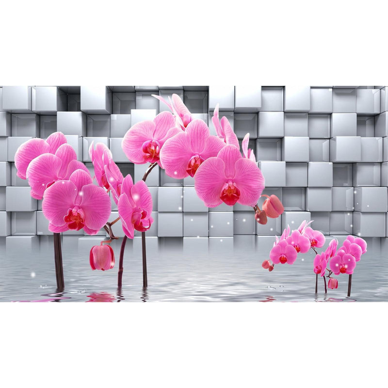 Papier peint orchidée — autocollant