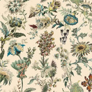 Papier peint tapisserie botanique ancien planches vintage - Papierpeint - panoramique.fr