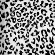 Papier peint tapisserie léopard gris sobre - Papierpeint - panoramique.fr