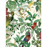 Papier peint tapisserie perroquets sur fond blanc lumineux - Papierpeint - panoramique.fr