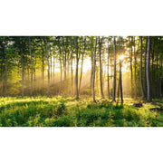 papier-peint-tete-de-lit-nature-motif