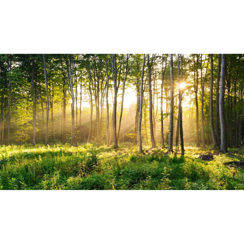 Papier peint tete de lit nature — autocollant